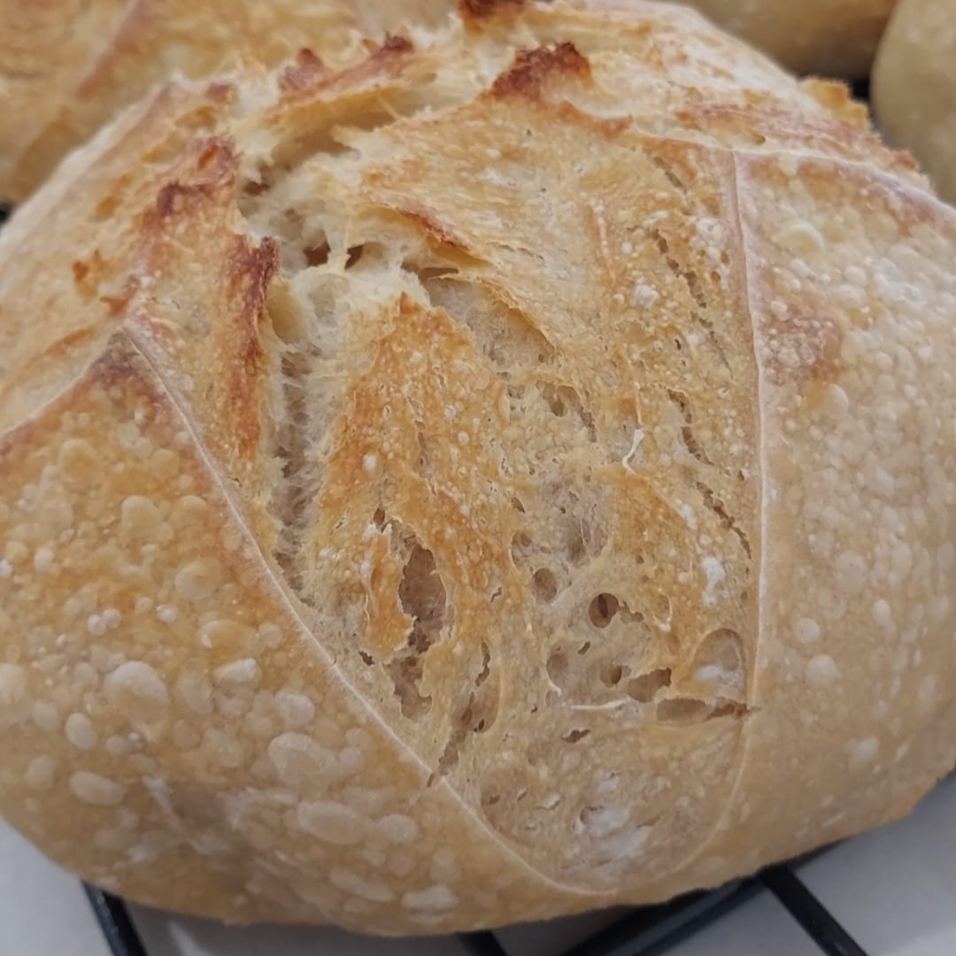 Spelt sourdough artisan loaf