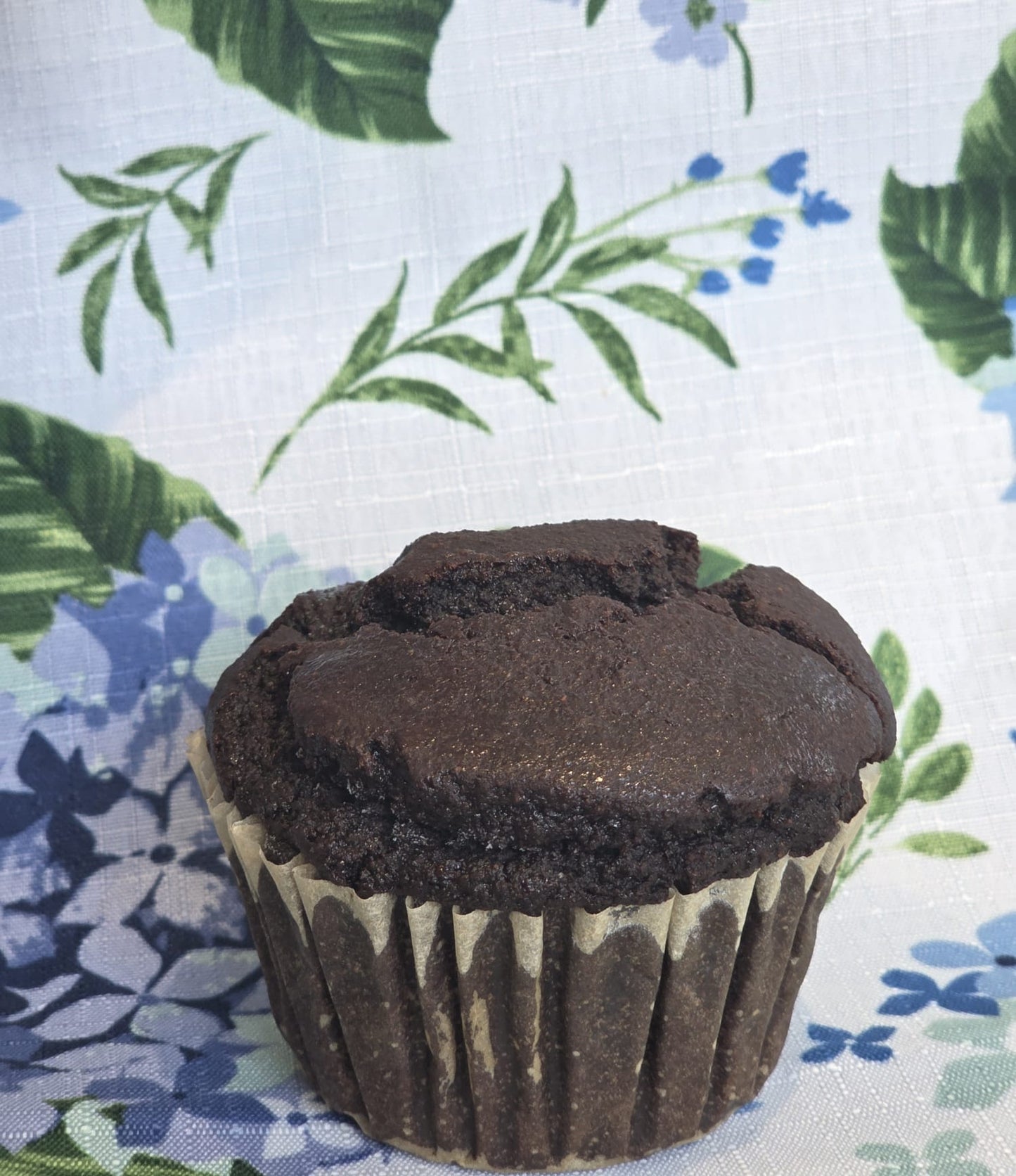 Chocolate cupcakes